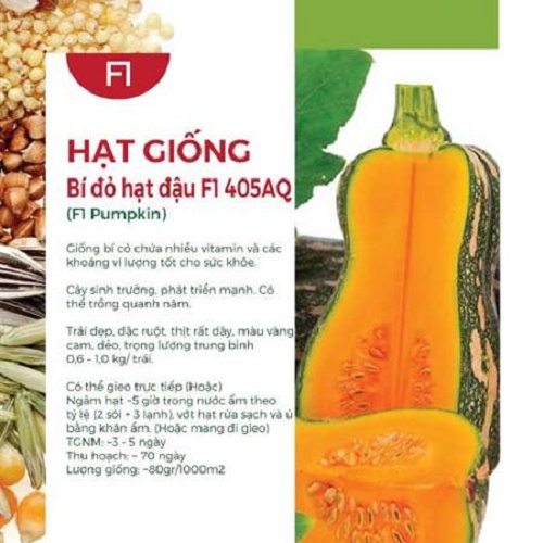 Hạt Giống Bí Đỏ Hạt Đậu F1 405AQ (2gr)