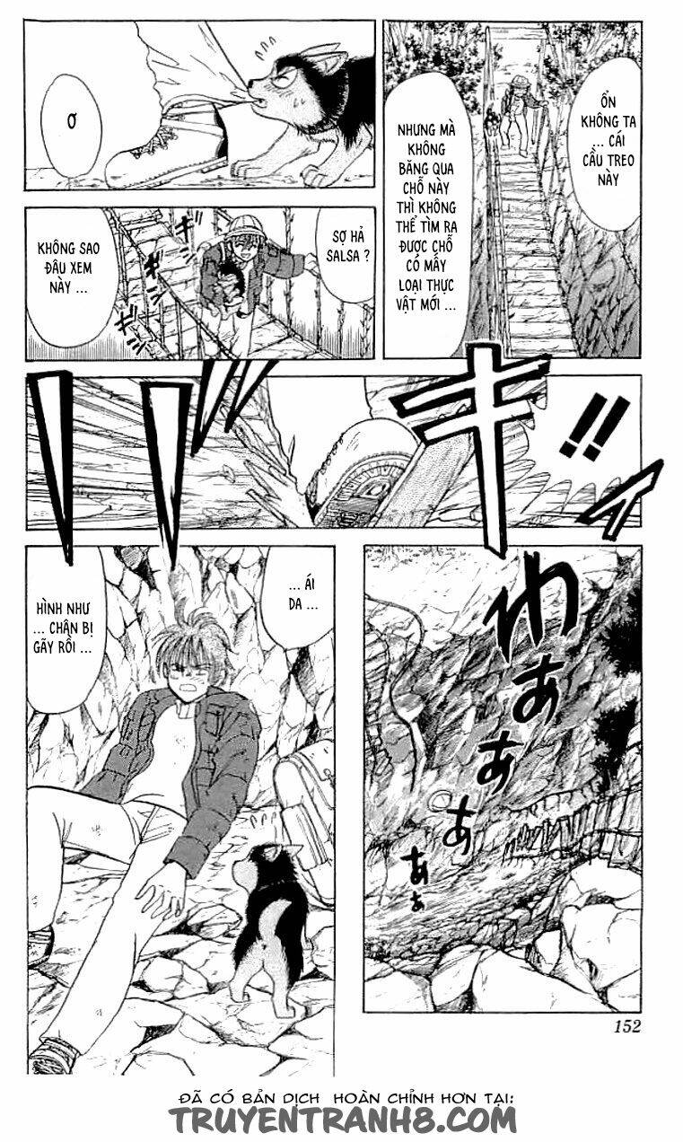 wild half chapter 6 8