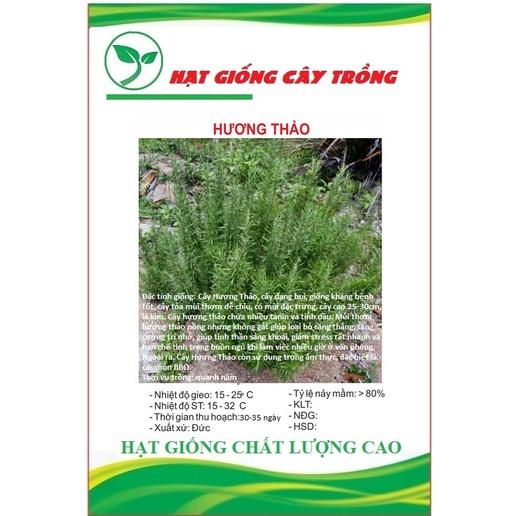 Hạt Giống Cây Hương Thảo Rosemary CT195 - Gói 20 hạt