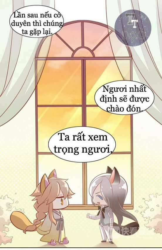 dưới móng vuốt mèo chapter 8 40