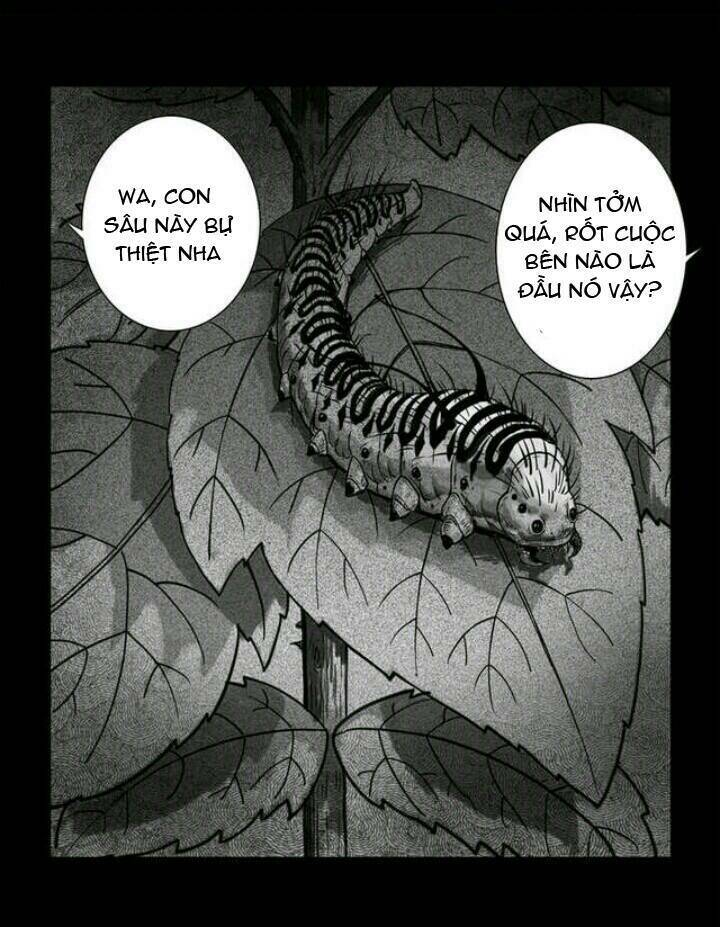 những câu chuyện kinh dị ở trường trung học tây lăng chapter 2 5