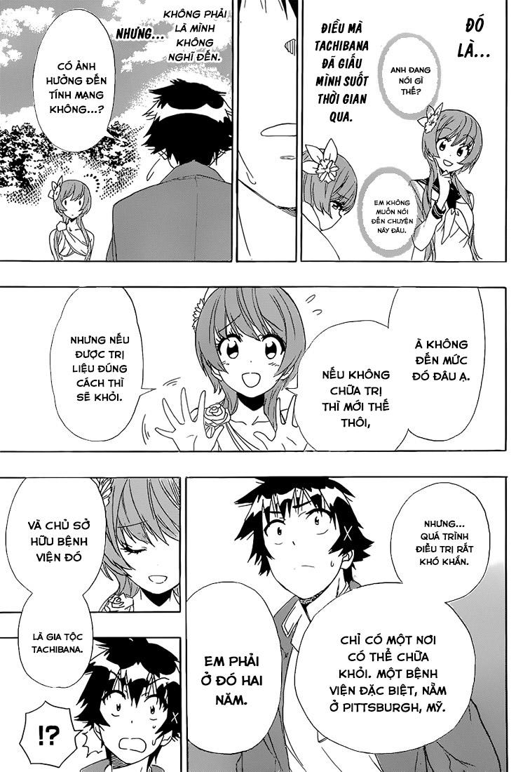 nisekoi - tình yêu giả tạo chapter 194 12
