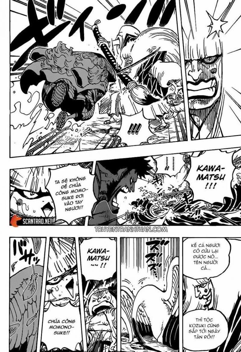 đảo hải tặc - one piece chapter 976 3