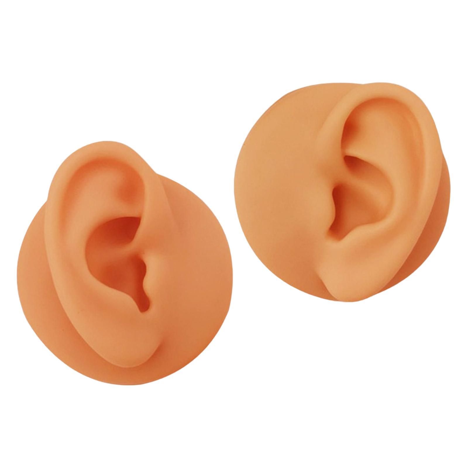 Soft Silicone Ear Model Simulated Ear Models Rubber Washable for Shop Brown