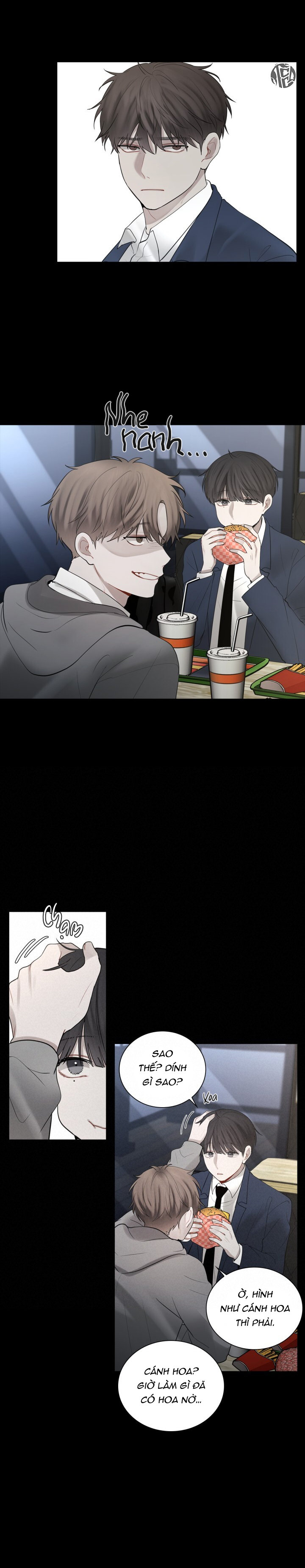 hình bóng phản chiếu chapter 12 16