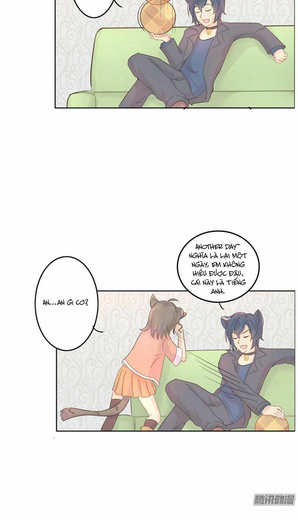 hai chú mèo totem chapter 1 9