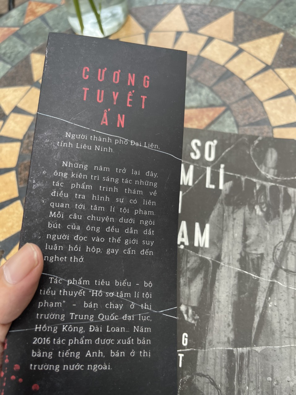 HỒ SƠ TÂM LÍ TỘI PHẠM Tập 1 - Cương Tuyết Ấn - Nxb Kim Đồng