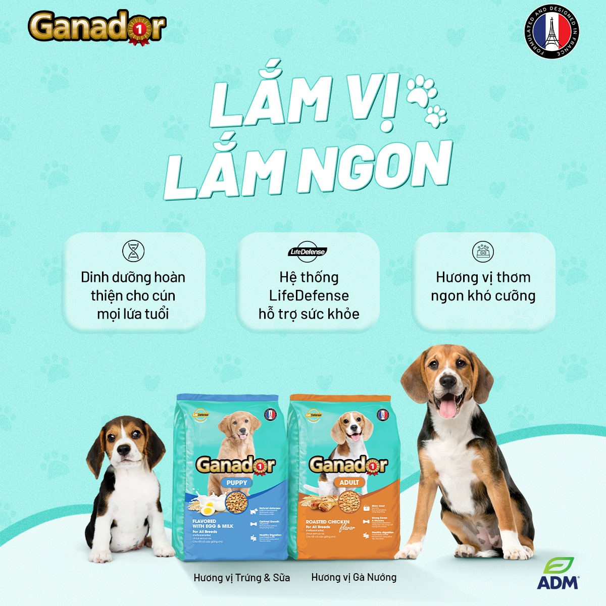 Thức ăn chó con Ganador vị trứng sữa - Ganador Puppy Egg and Milk