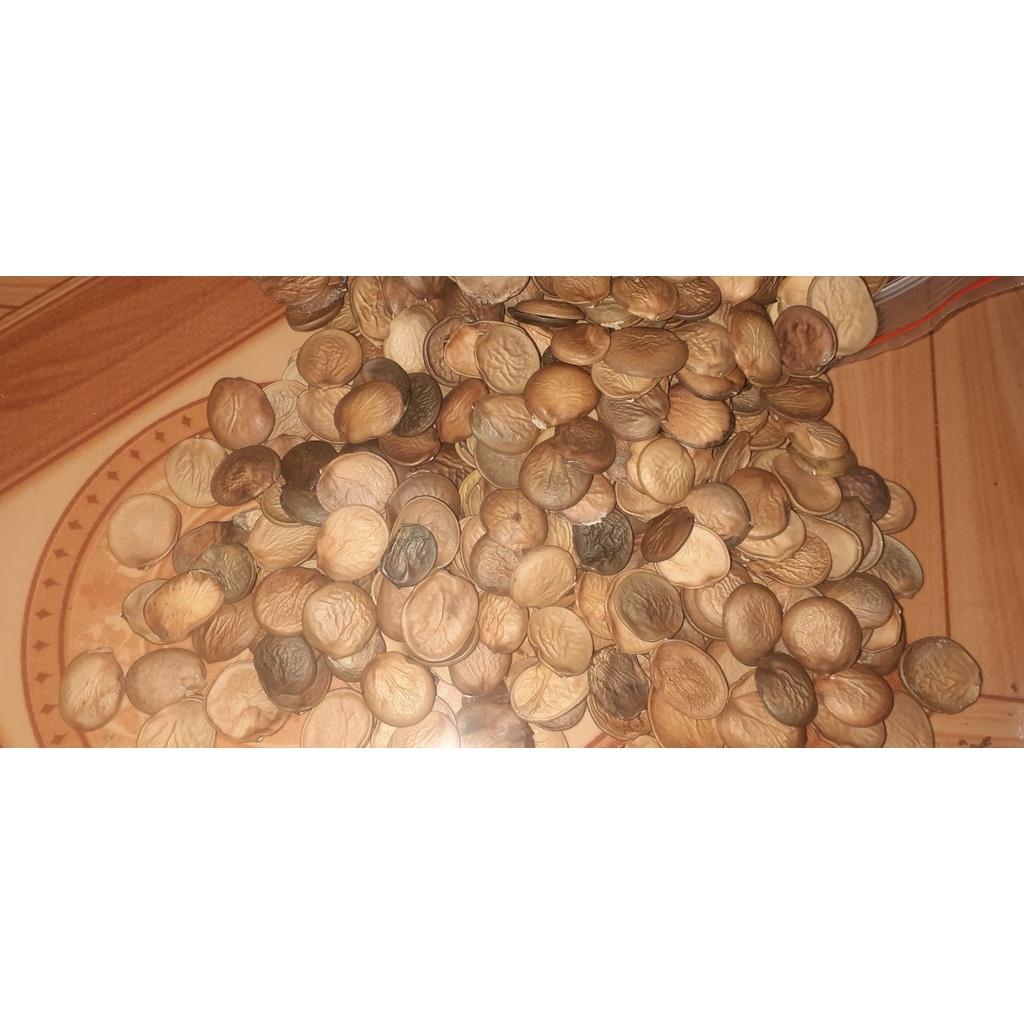 1kg Hạt giống ban tây bắc