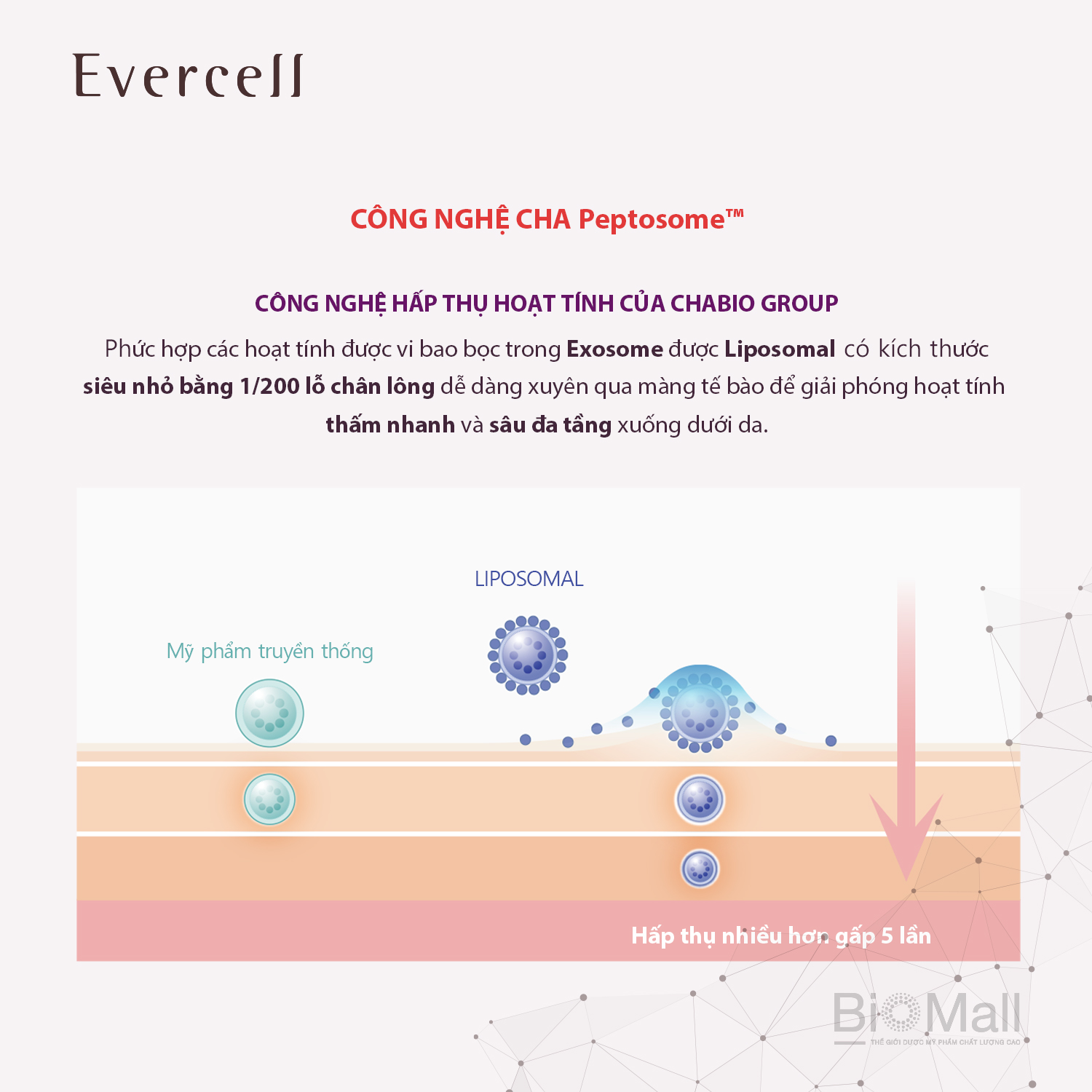 "Giải pháp chuyên gia chống Nếp nhăn sâu Công nghệ Tế bào gốc EVERCELL Deep Wrinkle Solution Expert 10ml "