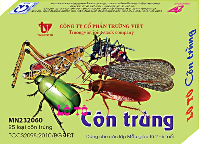 Thẻ học các loại côn trùng, Flashcards song ngữ thông minh, giáo cụ mầm non