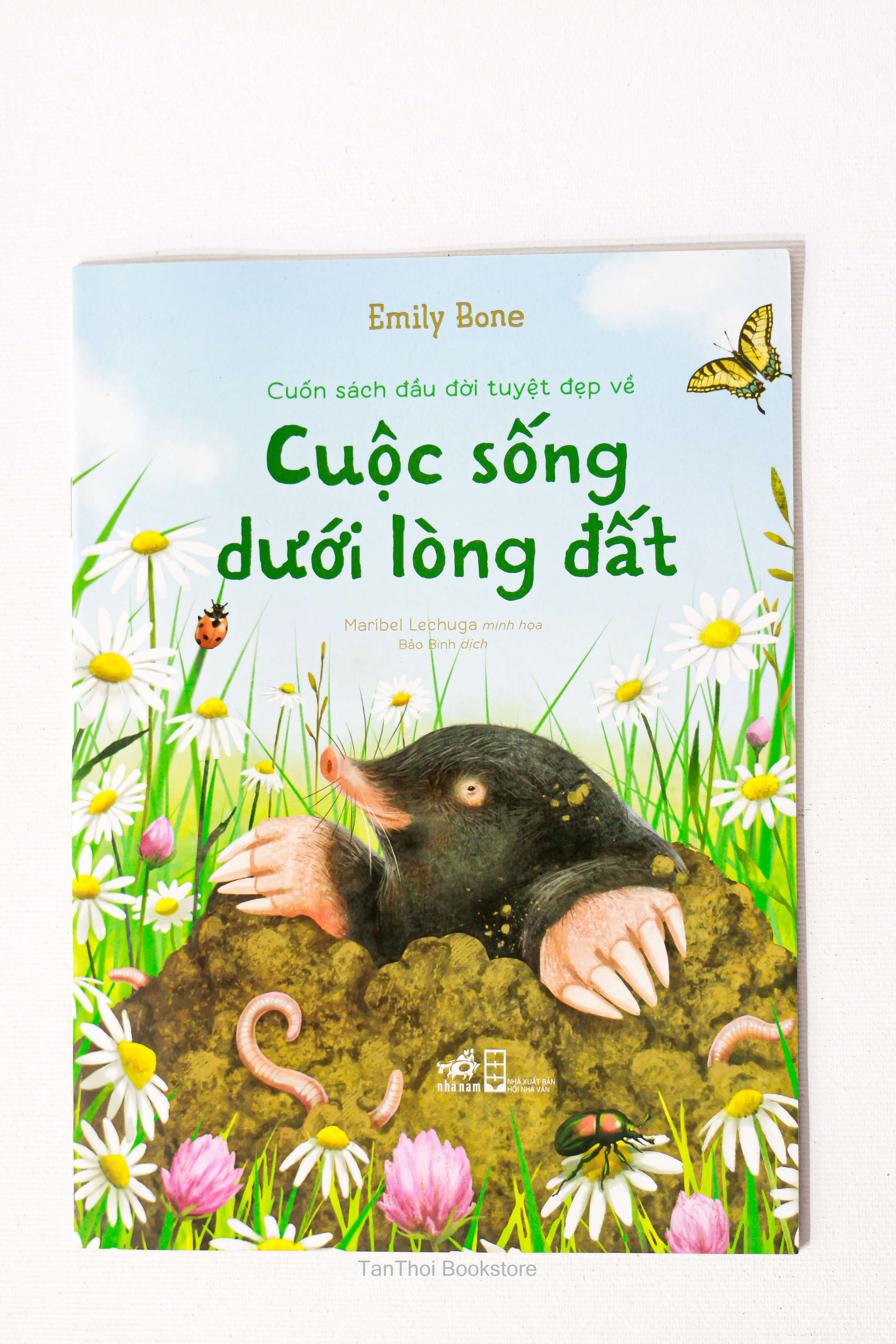 Cuốn sách đầu đời tuyệt đẹp về - Cuộc sống dưới lòng đất