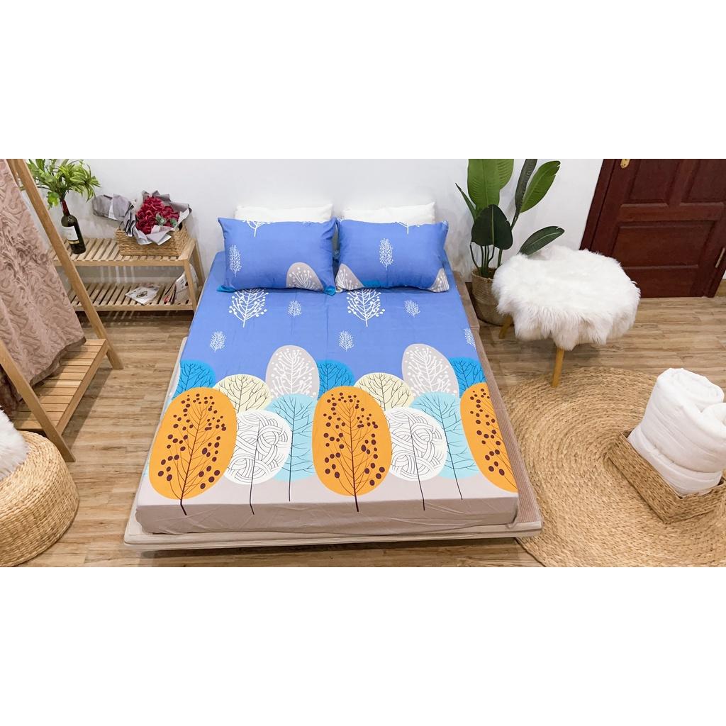 Ga Gối Cotton Chun