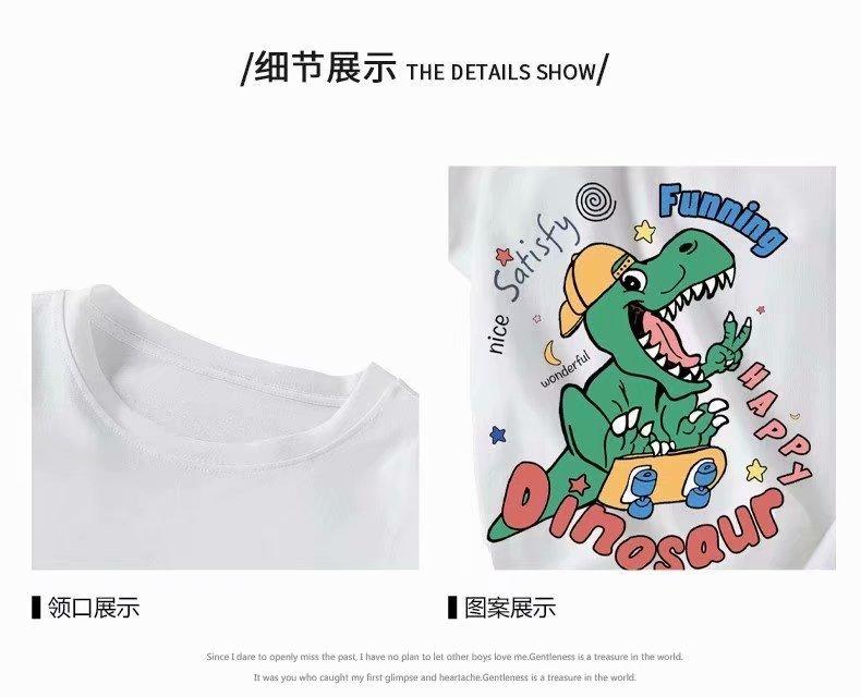 Áo Thun Form Rộng Tay Dài In Hình Khủng Long 3 Màu
