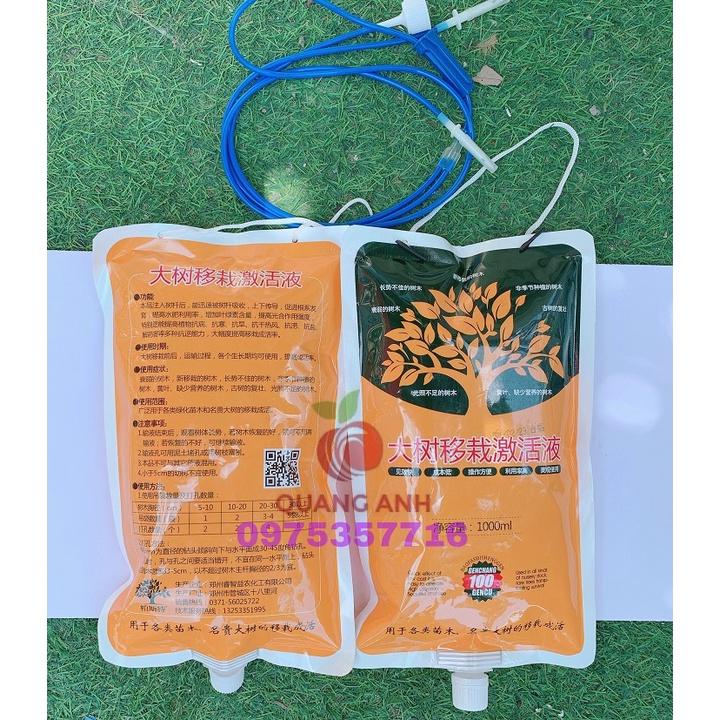 DỊCH TRUYỀN - DINH DƯỠNG TRÊN CHO CÂY - DỊCH TRUYỀN CÂY CÔNG TRÌNH