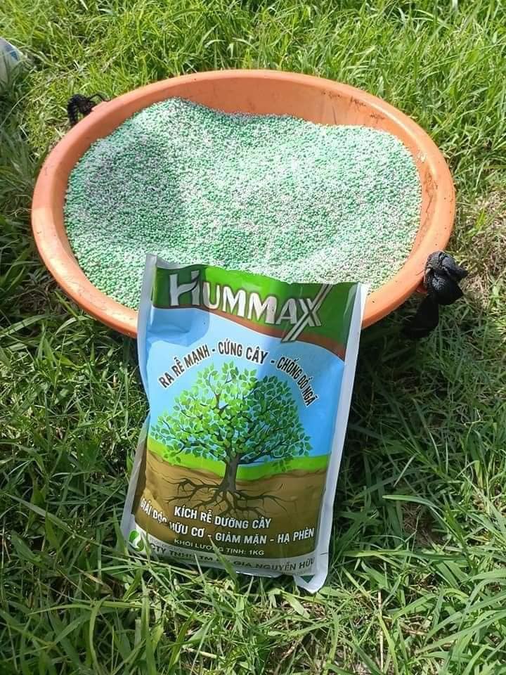 HUMMAX gói 1kg - kích rễ cứng cây