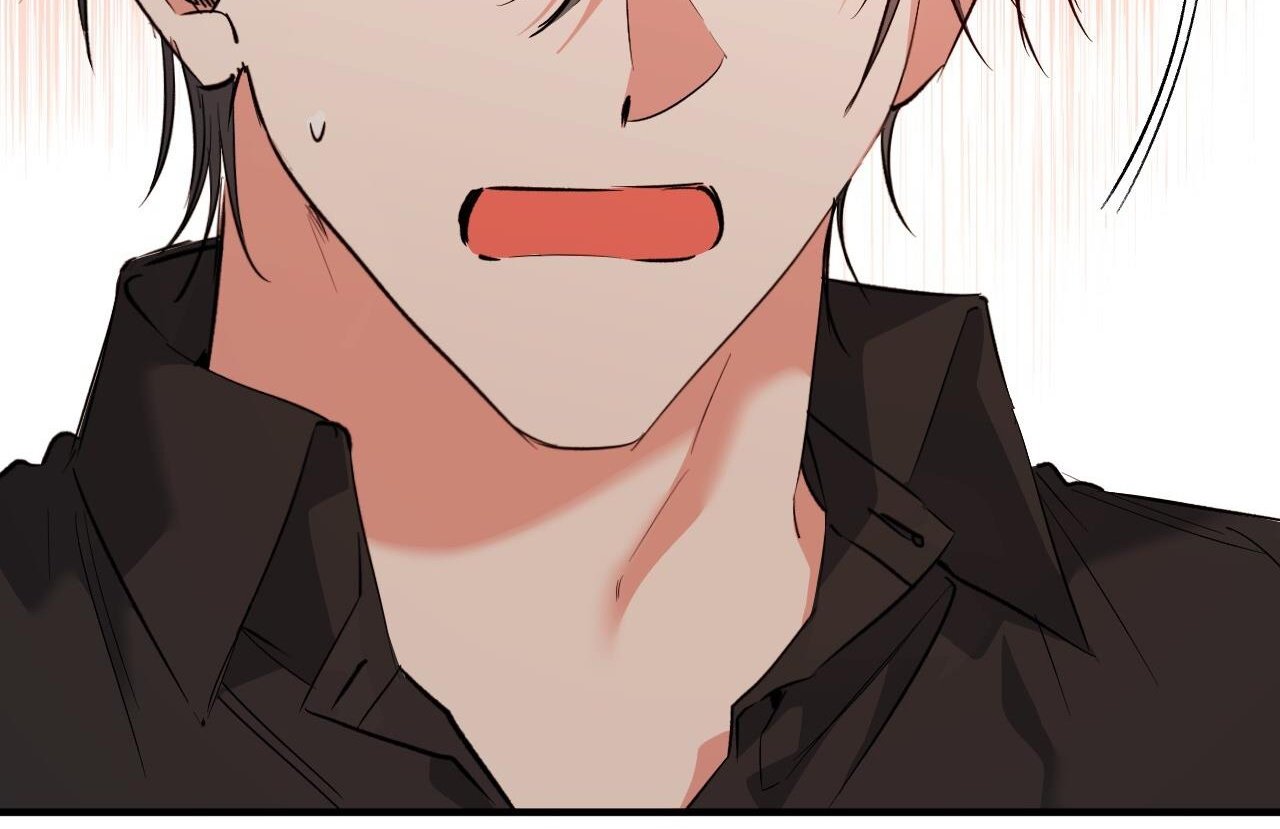 những chú thỏ của hapypy chapter 61 95