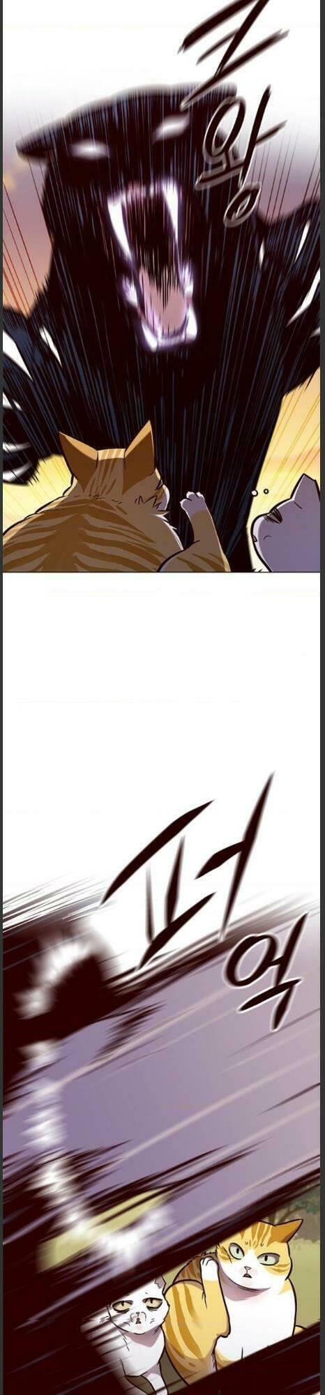 biến thân thành mèo chapter 161 21