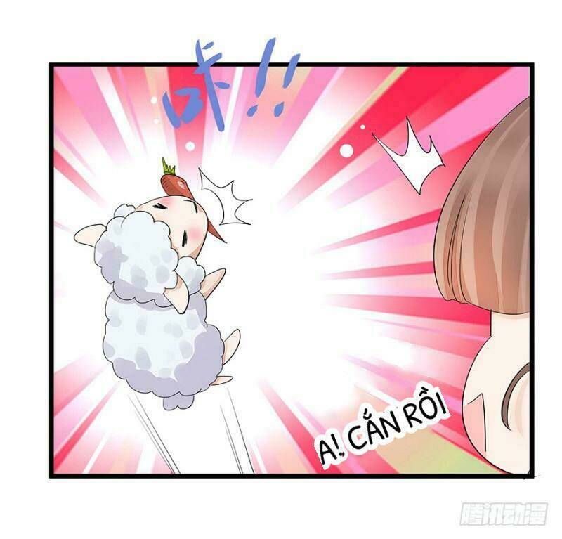 chào buổi sáng, ức vạn manh thê chapter 5 36