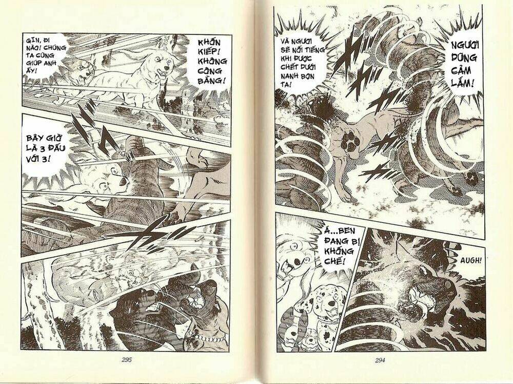 chú chó có nghĩa - ginga nagareboshi gin chapter 12 14