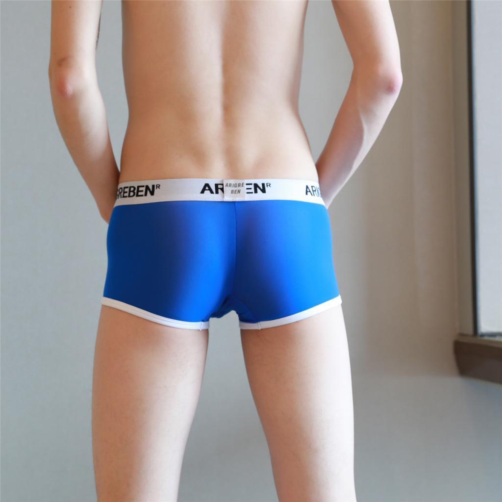 Men Mesh Underwear Thong Bikini Briefs Knickers Soft Sleepwear Swimsuit - Blue, L