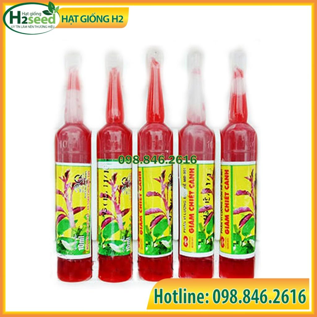 Phân vi lượng kích rễ, giâm chiết cành siêu nhanh, ra rễ vượt trội, cây khỏe mau lớn -Hạt giống H2 Seeds