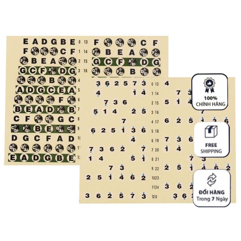 [Guitar &amp; Ukulele] Học Scale Guitar Nhanh Hơn Nhờ Miếng Dán Số