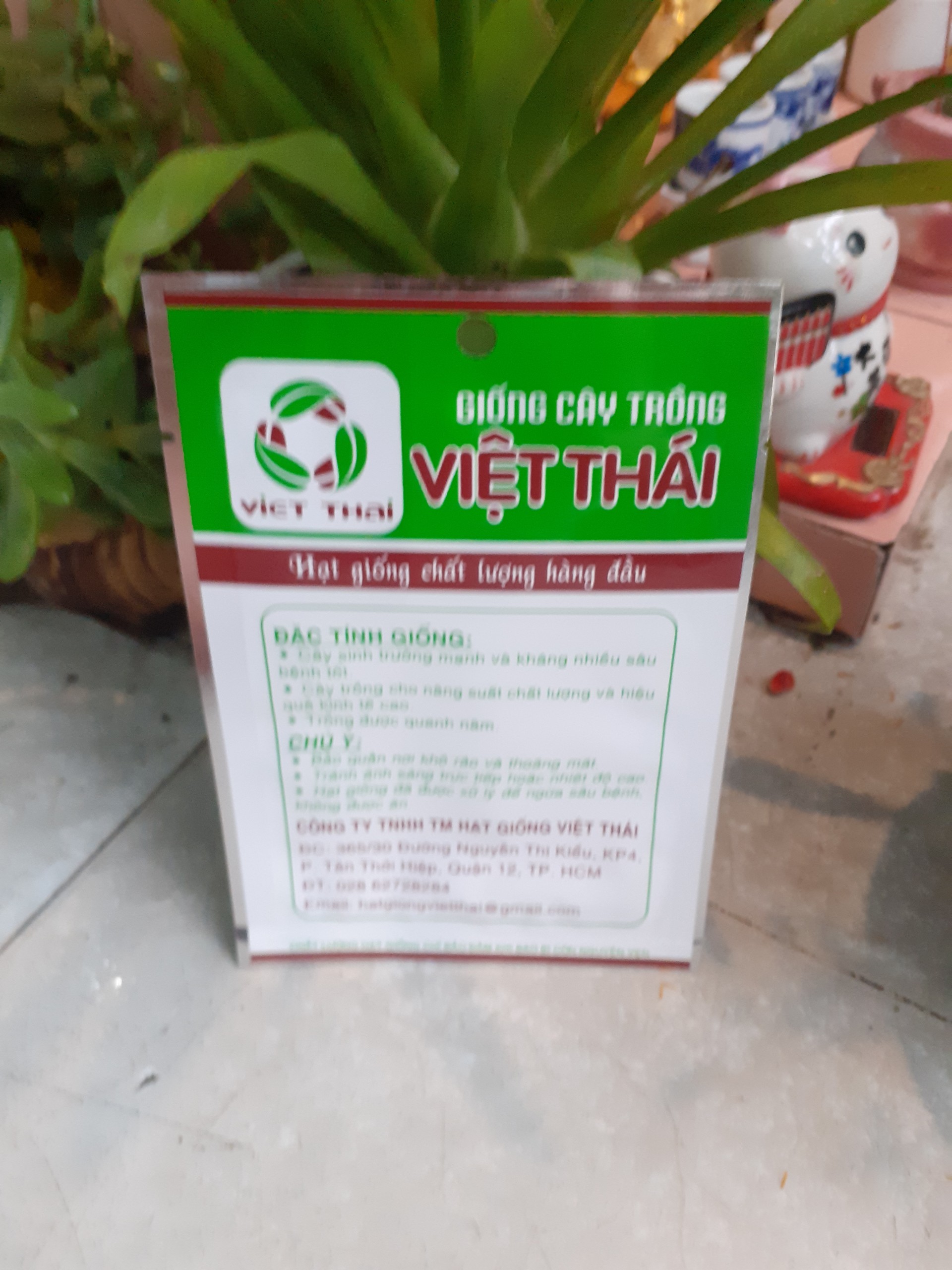 Combo 10 gói hạt giống CÀ DĨA DA ẾCH VALI