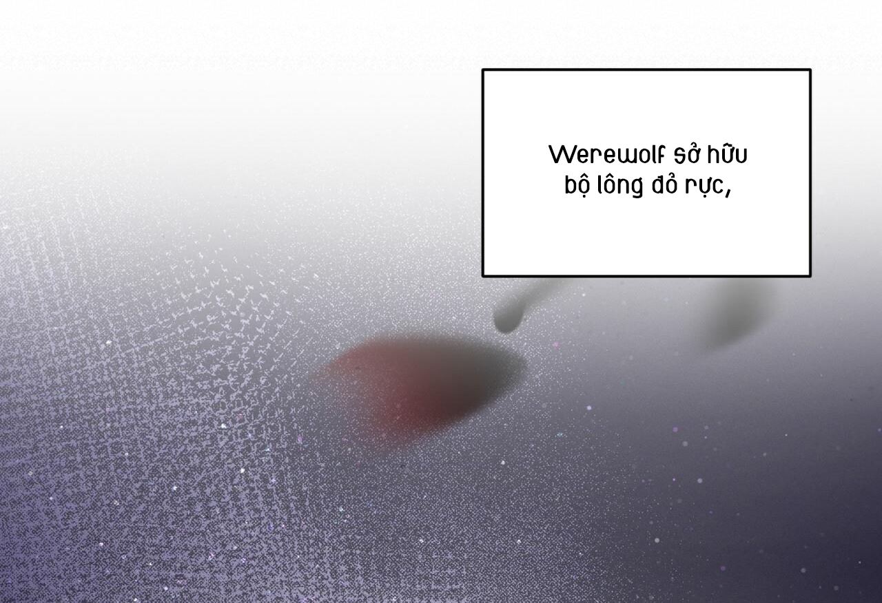 luân đôn trong màn đêm chapter 6 194