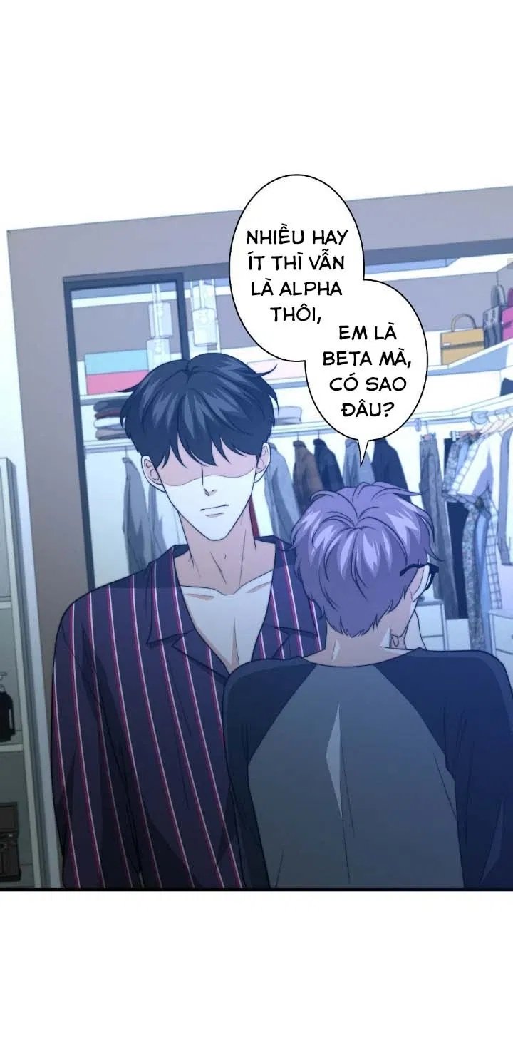 bí mật của omega k chapter 27 18