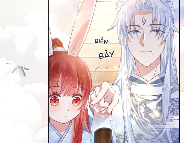 nuôi thỏ? nam chính hắc hóa rồi! chapter 11 64