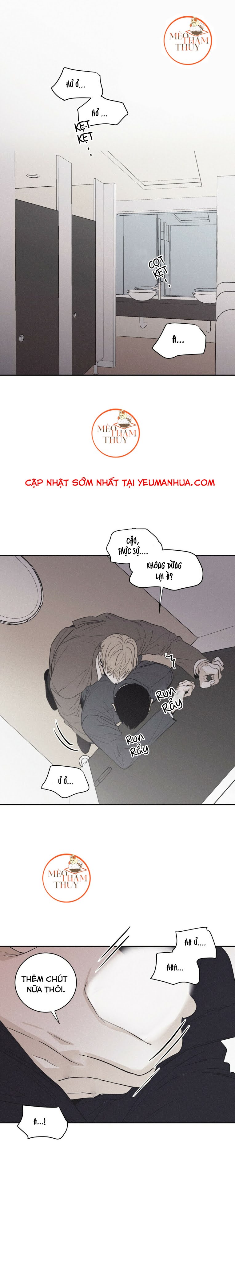 chiếu tướng chapter 41 16