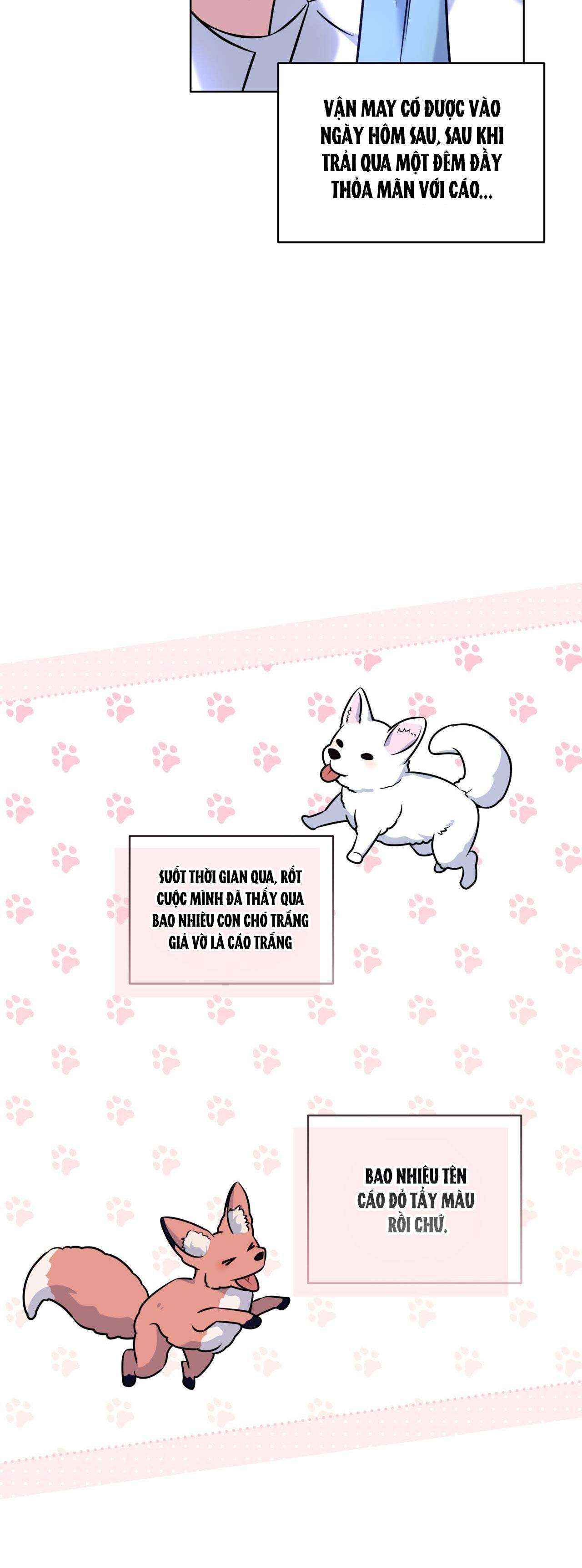 nước uống tình yêu của cáo plin chapter 10 41