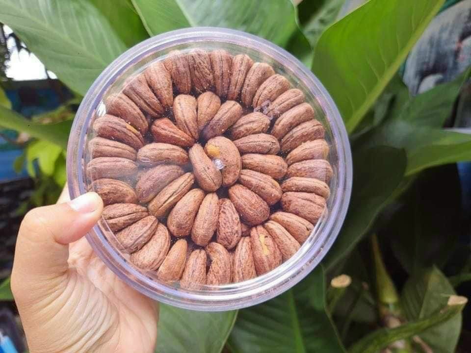 Hạt điều RANG MUỐI xếp hoa
