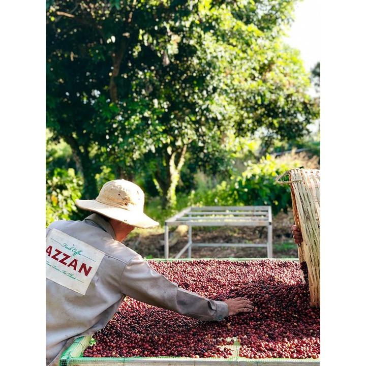 Azzan Special Blend (Robusta &amp; Arabica) thuần chủng, lựa tay - Sản phẩm hộp cao cấp, quà tặng cho người thân