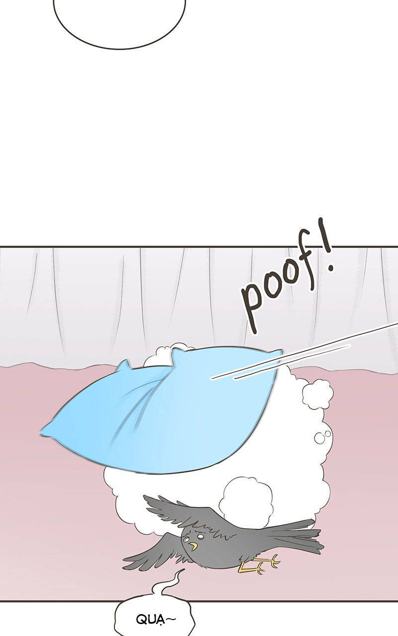 những nàng công chúa bị nguyền rủa chapter 21 30