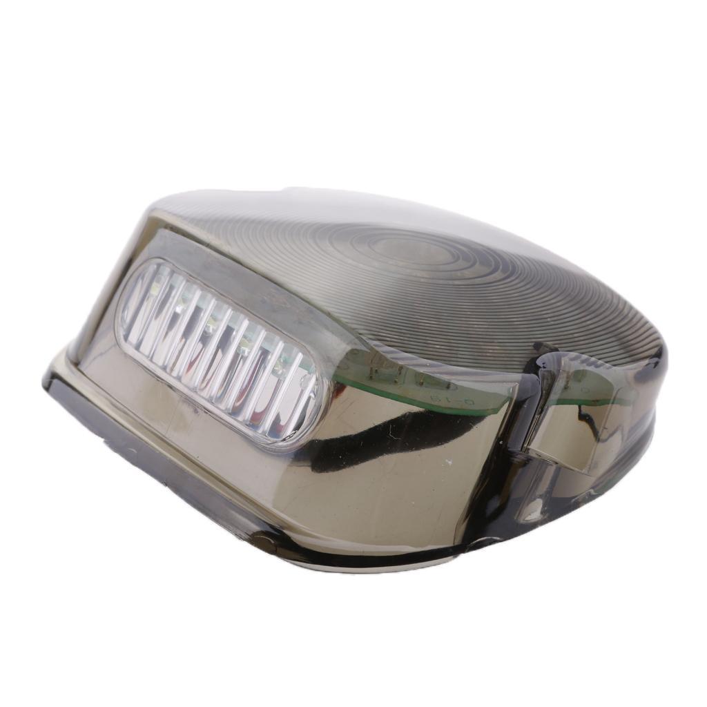 Smoke Tail Light Light For LED 