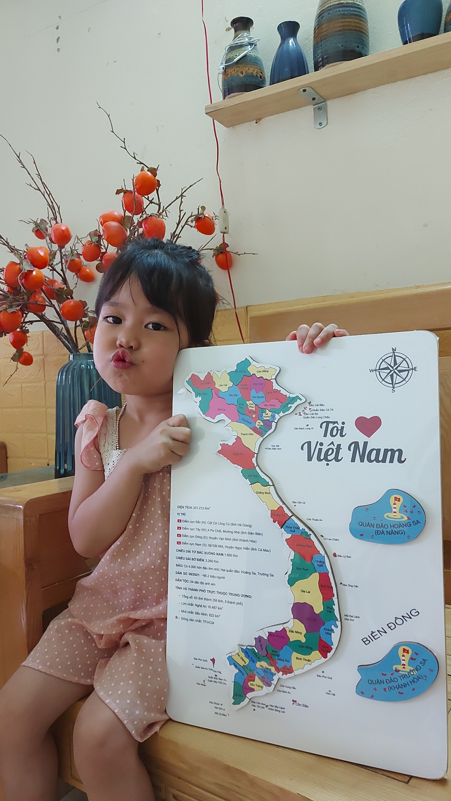 Đồ chơi ghép hình bản đồ Việt Nam, tỉnh thành Việt Nam