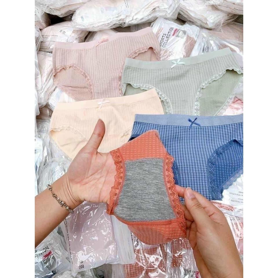 Sét 5c quần lót cotton kháng khuẩn cao cấp