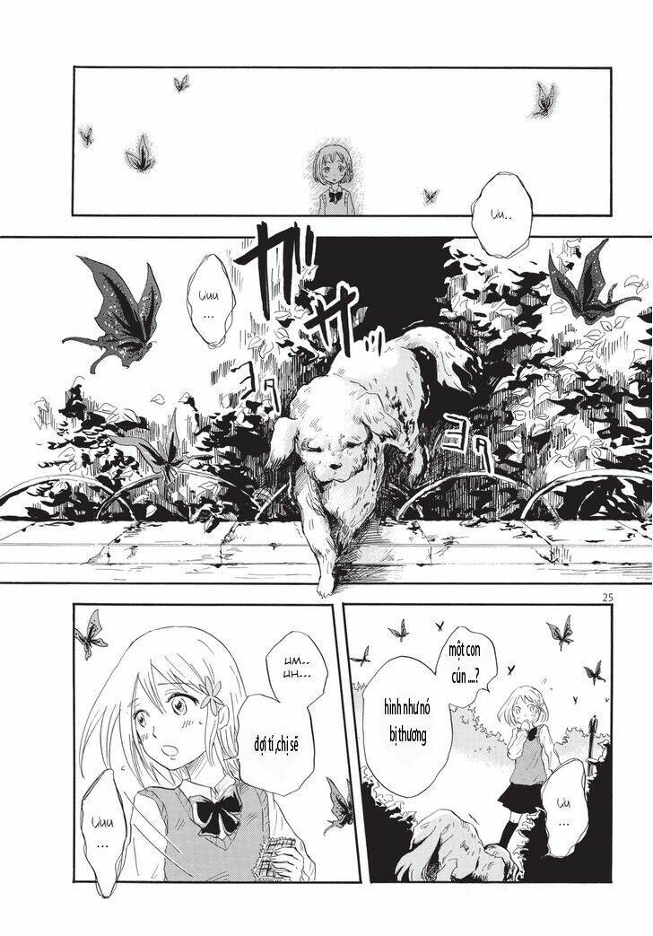 pupa chapter 1 26