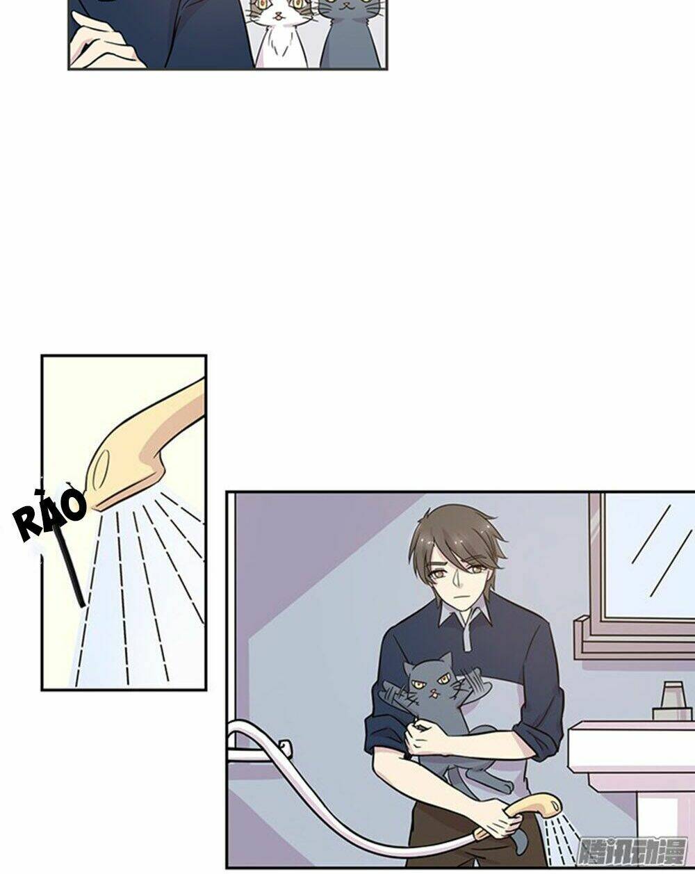 hai chú mèo totem chapter 17 9