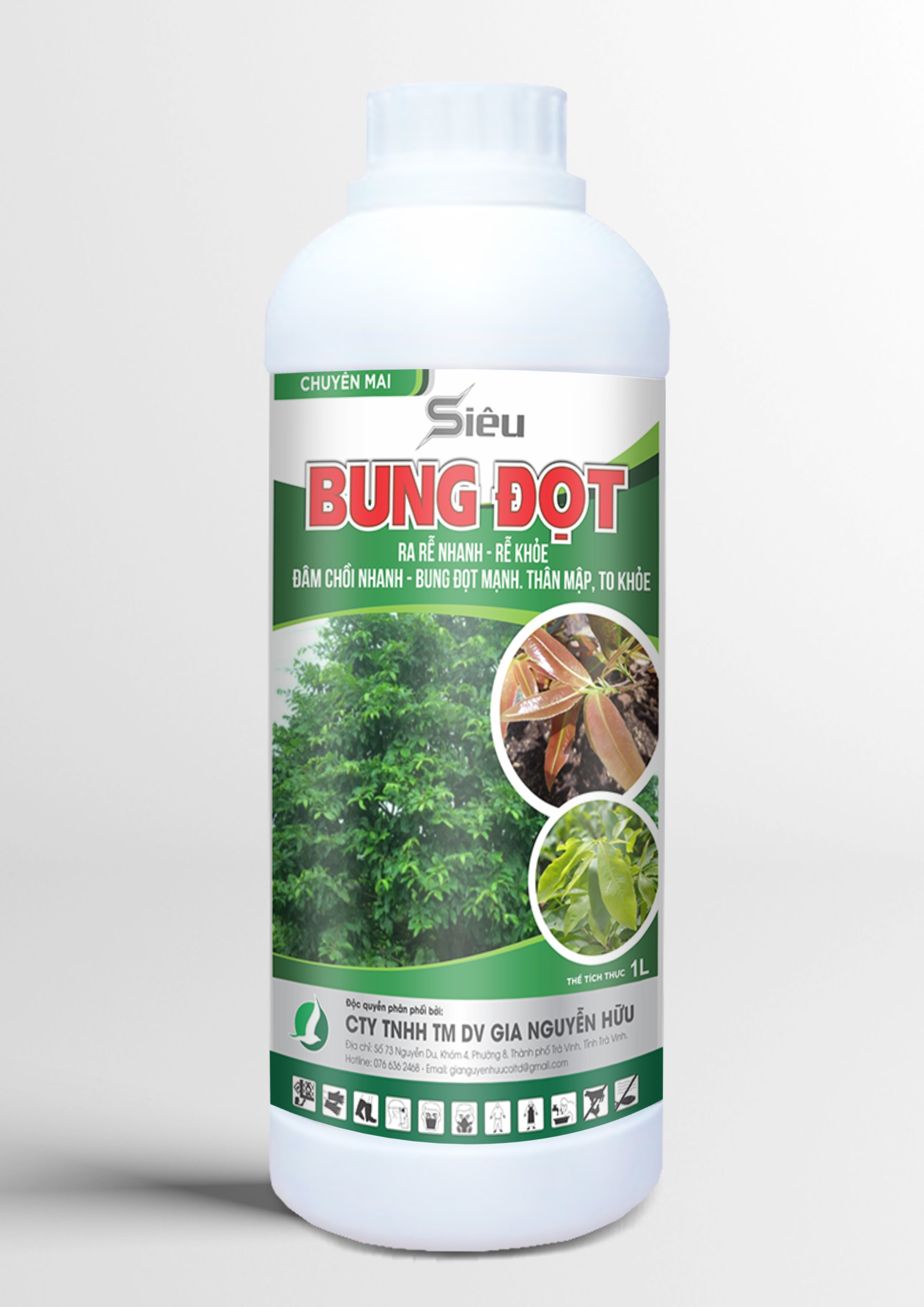 SIÊU BUNG ĐỌT, RA RỄ, XANH DÀY LÁ