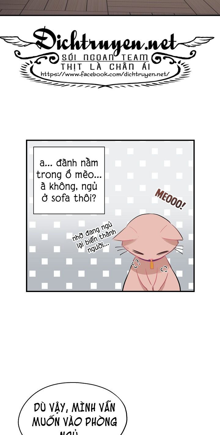 cuộc sống kỳ thú chapter 35 3