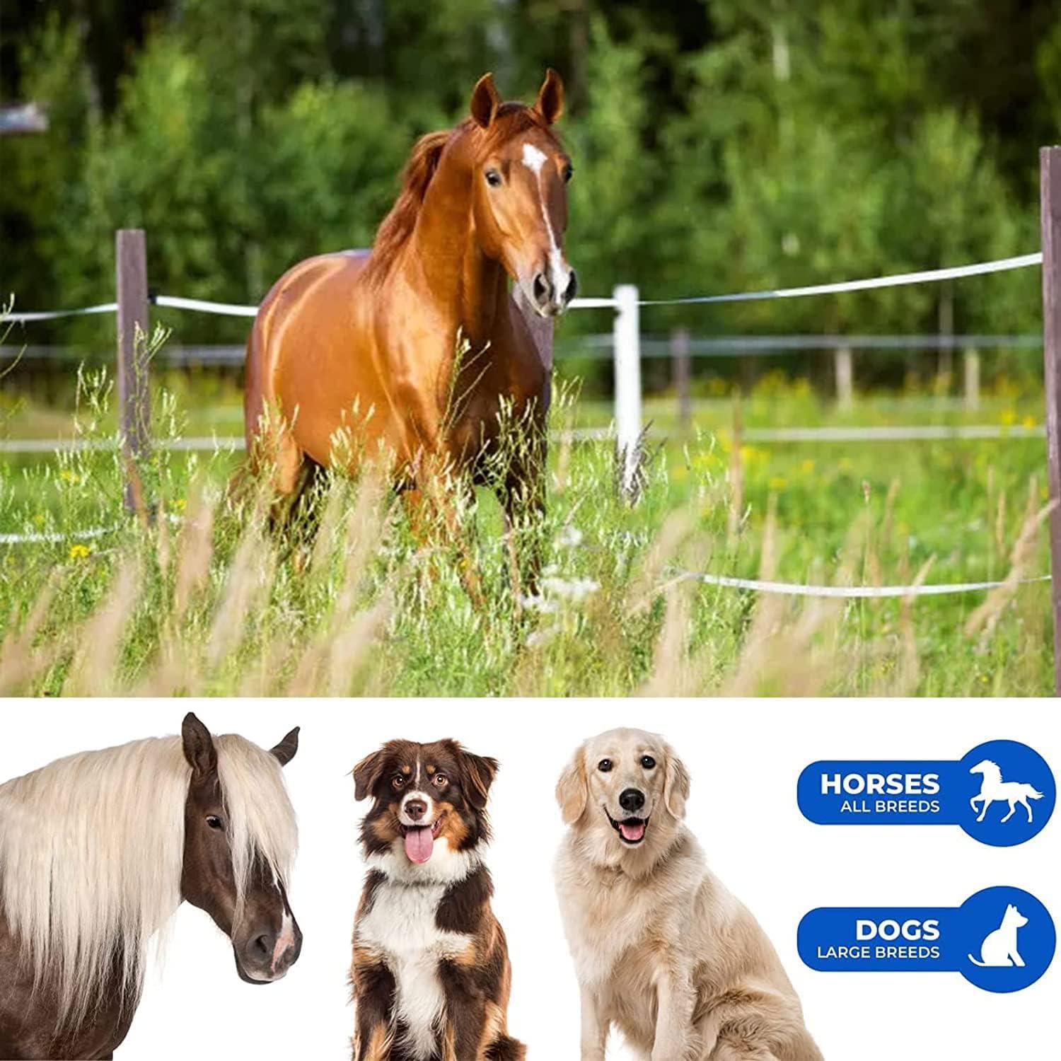 Bàn chải chải chuốt 6 trong 1, lược massage cho ngựa, bàn chải chải chuốt, bàn chải lông đa chức năng 6 trong 1, bàn chải massage 6 trong 1, rễ ngựa 6 trong 1