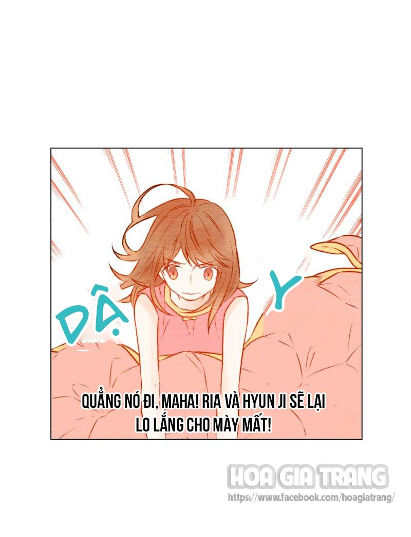 sao chép chapter 19 39