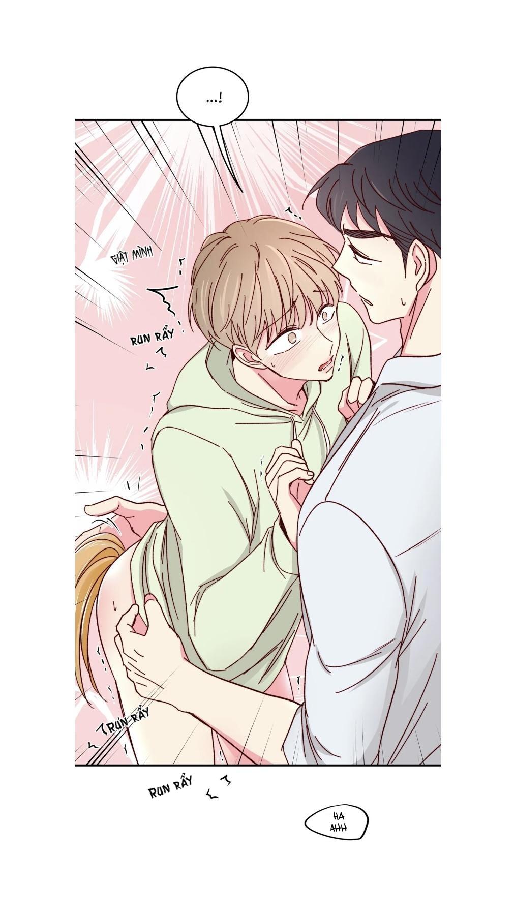 món tráng miệng của sếp tổng chapter 59 11