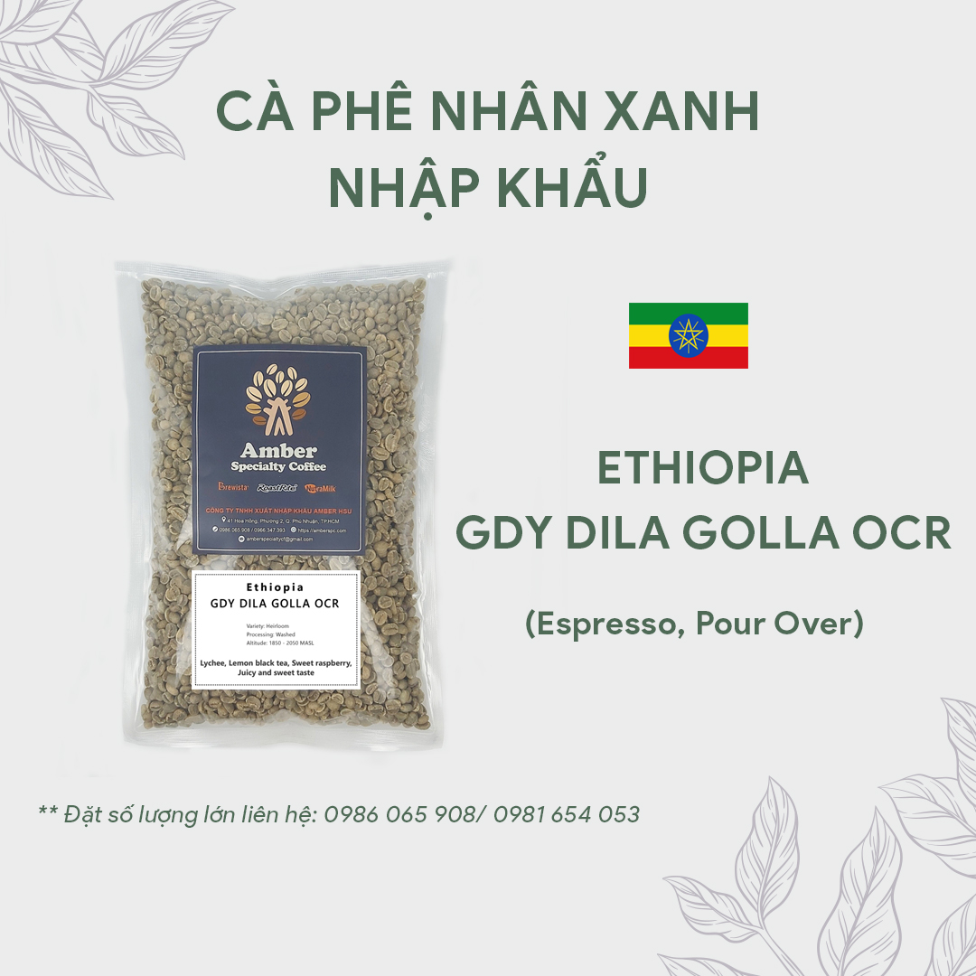 Cà phê nhân xanh Ethiopia GDY Dila Golla Washed G1 OCR - 1kg