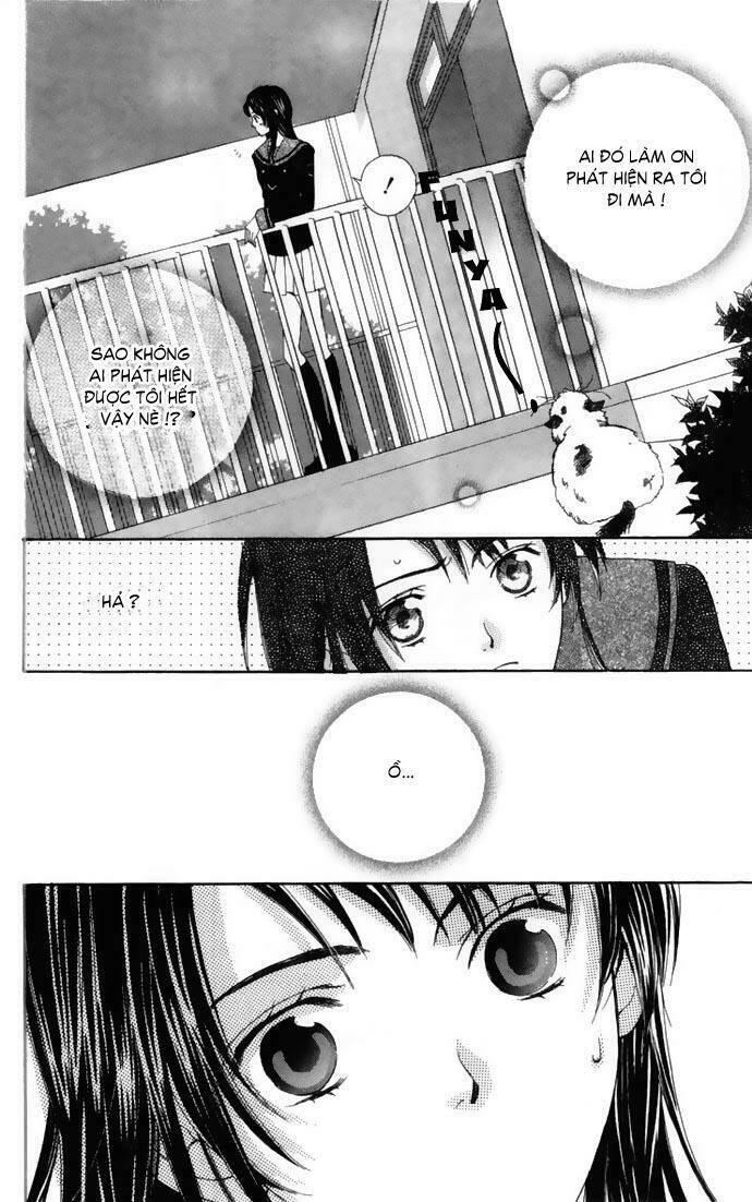 cung đàn vàng chapter 1 34