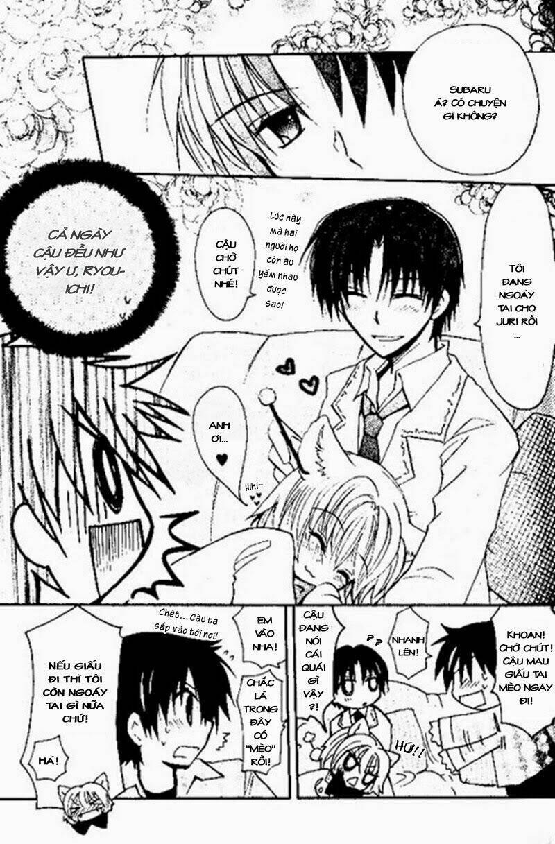 boku x neko? chapter 4 15