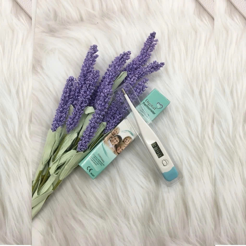 Nhiệt kế điện tử